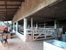 Chácara de 4 hectares Bairro Centenário - Lajeado RS