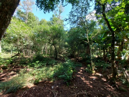 Chácara 1,2 hectares com LINDA CASA Barra da Forqueta - Arroio do Meio - RS